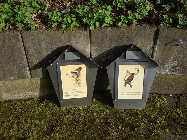 Datei:20180408 180955.jpg