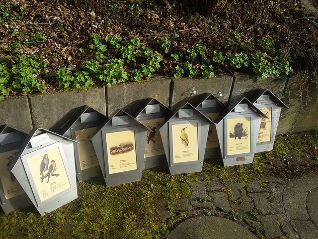 Datei:20180408 181637.jpg