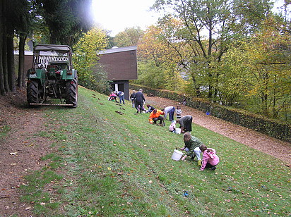 Datei:Tatortdorfmitte2008 02.jpg