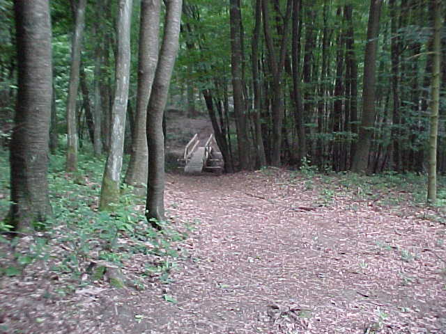 Datei:Vogellehrpfad Impressionen 002.jpg