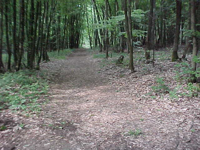 Datei:Vogellehrpfad Impressionen 003.jpg