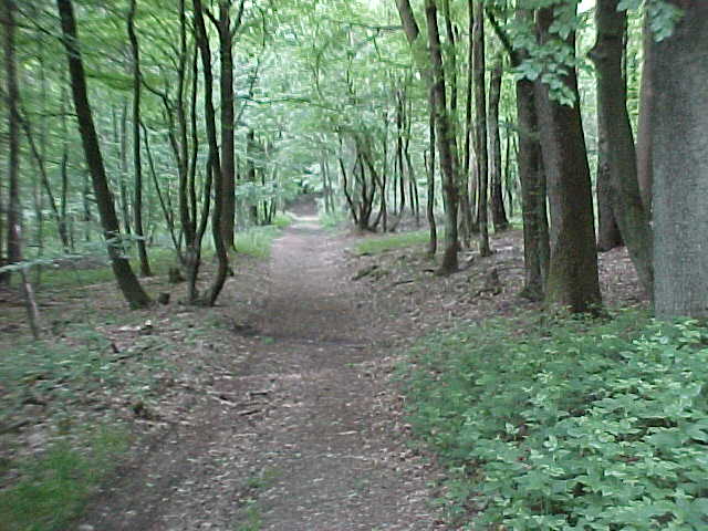 Datei:Vogellehrpfad Impressionen 005.jpg