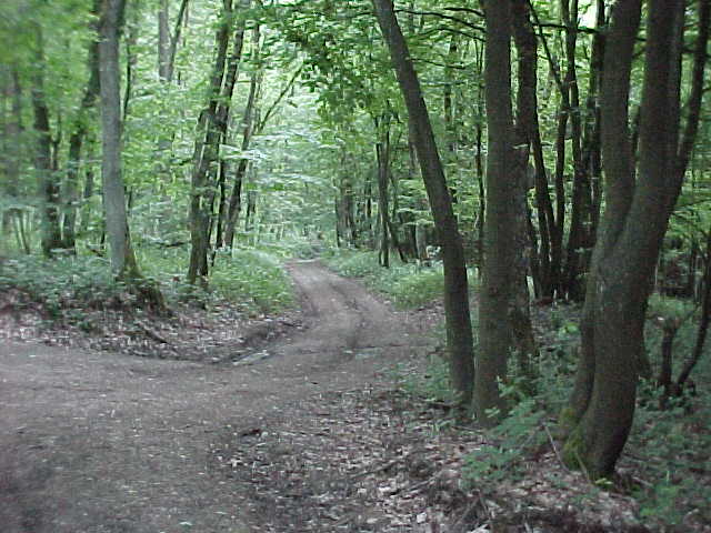 Datei:Vogellehrpfad Impressionen 006.jpg