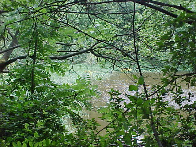 Datei:Vogellehrpfad Impressionen 007.jpg