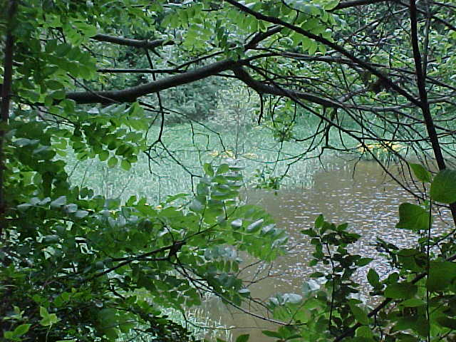 Datei:Vogellehrpfad Impressionen 008.jpg