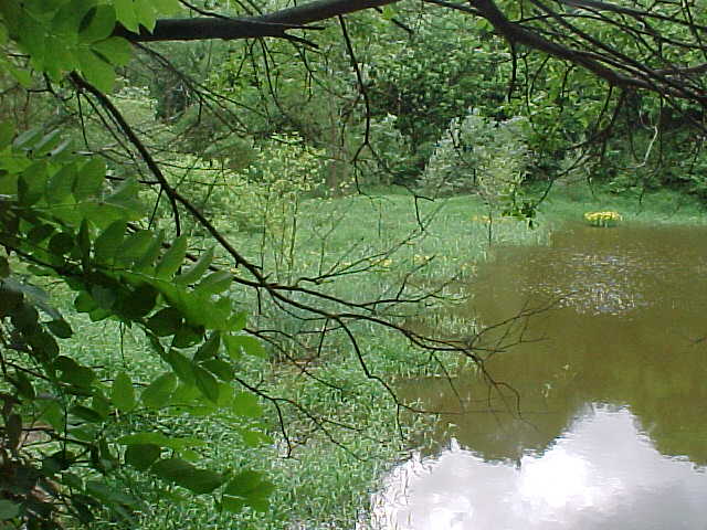 Datei:Vogellehrpfad Impressionen 009.jpg