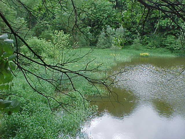 Datei:Vogellehrpfad Impressionen 010.jpg