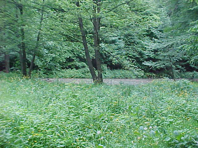 Datei:Vogellehrpfad Impressionen 013.jpg