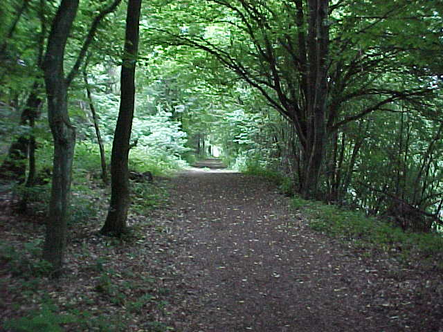 Datei:Vogellehrpfad Impressionen 014.jpg