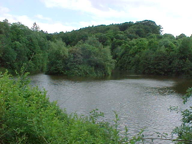 Datei:Vogellehrpfad Impressionen 015.jpg