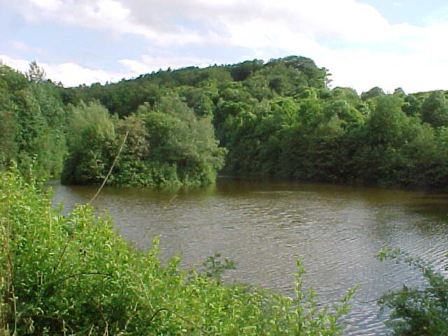 Datei:Vogellehrpfad Impressionen 016.jpg