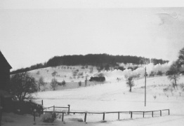 Dampfzug in den 50ern