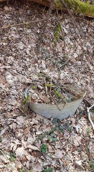 Datei:FB IMG 1554067561111.jpg