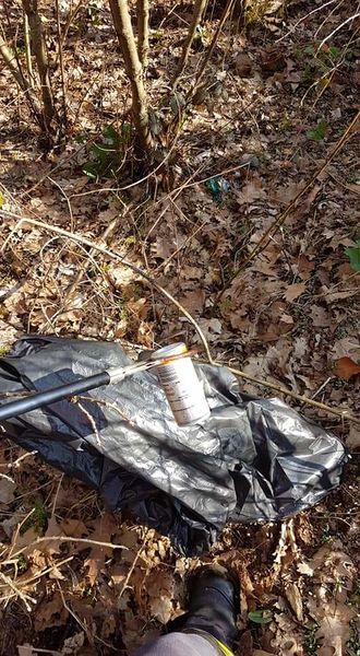 Datei:FB IMG 1554067591260.jpg