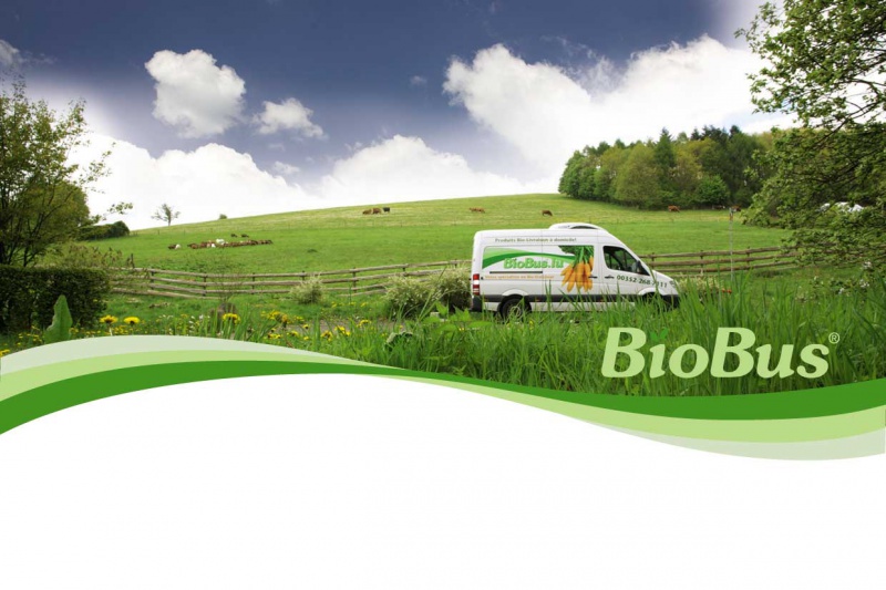 Datei:Logo Martinshof.jpg